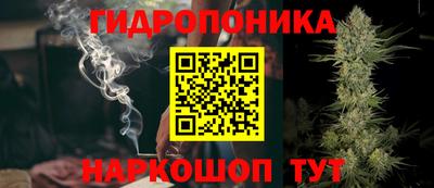 крисы Канаш