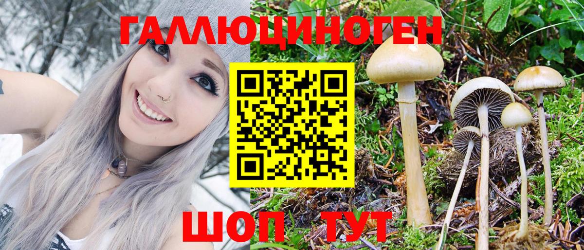 Псилоцибиновые грибы MAGIC MUSHROOMS Кропоткин
