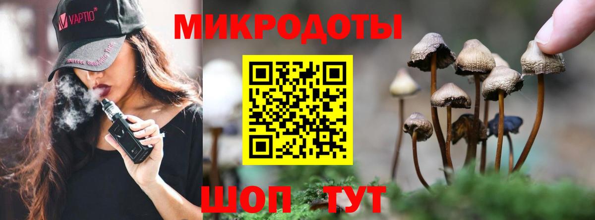 Галлюциногенные грибы Psilocybine cubensis  Вход с VPN  Кропоткин  Галлюциногенные грибы Psilocybine cubensis 